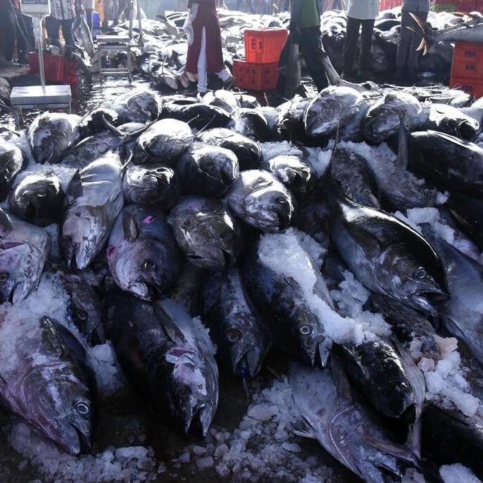 Early warning is first defense in India climate disasters